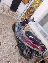 ماكس منغولي • ختم واحد • كلجات اماميه