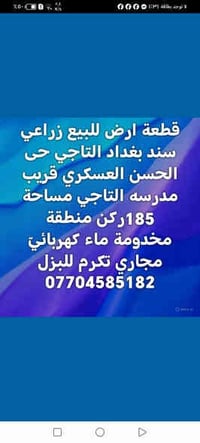 التاجي حي الحسن • زراعي • ١٨٥ركن