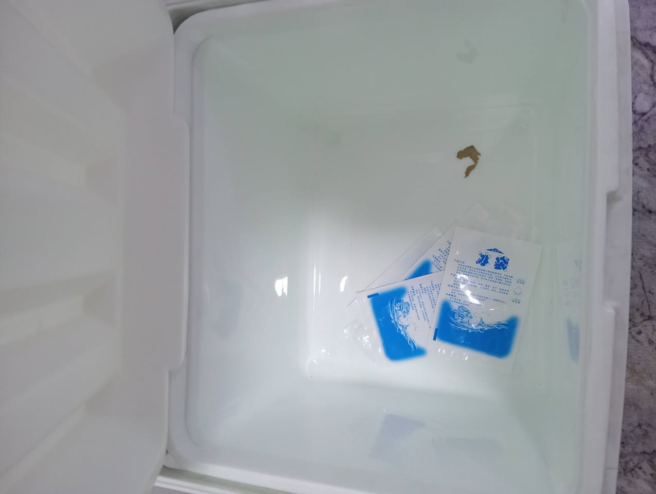 غراض تخيم كل شي سعره علق يجيك سعر خاص مفتوح


**إذا كنت صاحب هذا الإعلان وتريد حذفه لأي سبب، رجاءا أرسل رسالة إلى الدعم الفني**