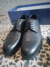 تركي اصلي • قياس ٤٠