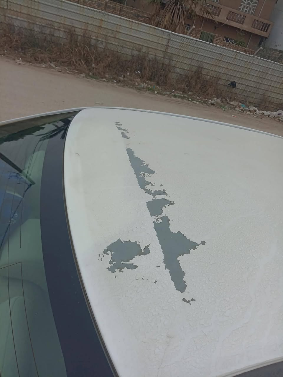 السلام عليكم كورولا 2009 خليجي مكينه 1800 رقم بغداد سنويه 28 تبريد تدفئه كير كله جاهز بيهه مكانات تكشير وصبغ شبر بلقماره نهايت لقماره  سعر ١١٠ وبيه مجال مكان بابل سكندريه  ***********
