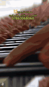 صلِ ع محمد وآل محمد 

مشويات الدوسري 🤍 رجعنا وياكم  من الساعه ال١١ صباحا الئ ال١١ 

لحم عراقي خالص !.. جربنا ومتخسر 😀

كيلو مشاوي مشكل كباب وتكه دجاج واجنحه ومعلاك ب٢٢ الف ١٢ شيش🥩🍗

كيلو لحم ب١٨ الف ١٢شيش دبل 🥩

كيلو دجاج ب١٤ الف ١٢شيش دبل🍗

عرض الجمعه يابه😁🤍

كيلو مشكل كباب( لحم عجل خالص ودجاج  ) (وتكه دجاج ) ب١٧ الف ١٢شيش.. وبطل ببسي 

ويوجد توصيل لكافه مناطق الرمادي  🛵
***********
***********
العنوان : التأميم _حي الاكراد _ مجاور جامع الصالحين  🤍
