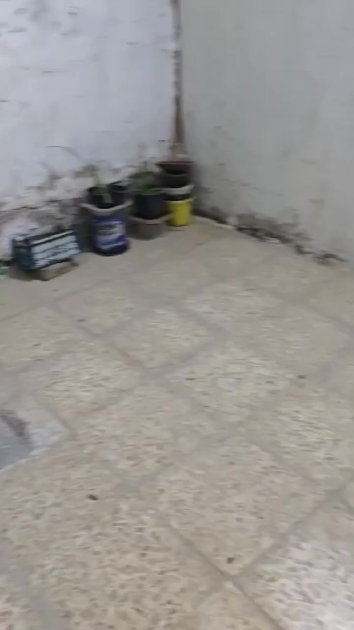 عندي بيت للبيع طابو زراعي مساحة ١٠٠ متر شارع المعمل قريب على صورة الوائلي بالكوفة يحتوي على طارمة ومطبخ وصالة وصحيات وغرفتين كل غرفة بيها منور للبيع مستعجل السعر 25 نجف كوفه ***********📞☎️
