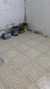 طابو زراعي • ١٠٠م • غرفتين