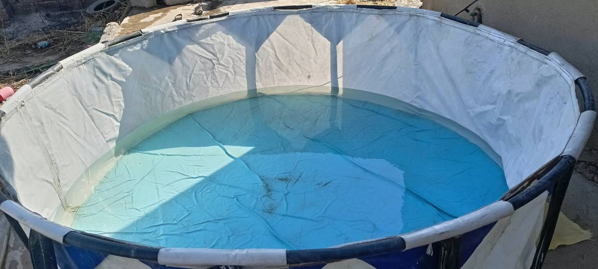 مسبح عرض 2.50  ارتفاع 80 سعره 40 عنوان كوكجلي


**إذا كنت صاحب هذا الإعلان وتريد حذفه لأي سبب، رجاءا أرسل رسالة إلى الدعم الفني**