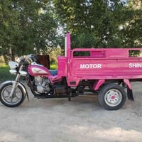 صقر ٢٠١٧ • أوراق أصلية • كفالة سنة