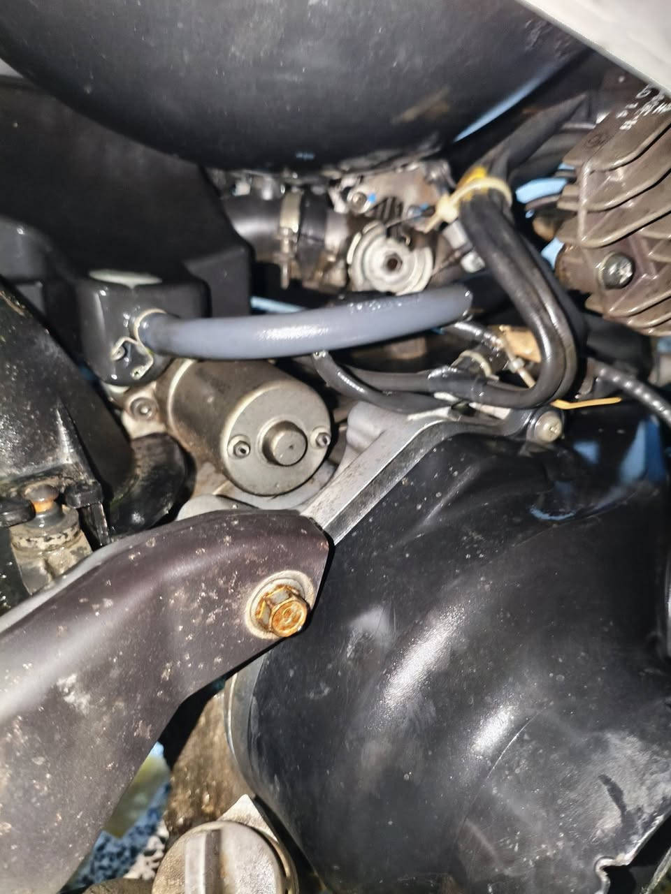 بوليس نوزل مستعمل قليل جدا 

كلشي بلادي حتى الكفرات بلادي بس اجن ما مختمه المكينه ما مفتوحه جايبه من الرمبه شلعه ومعدل ودائما افول محسن بس مرتين لو ثلاث مفول عادي وبيه كسور خفيفه 

السعر 835
الرقم ***********
