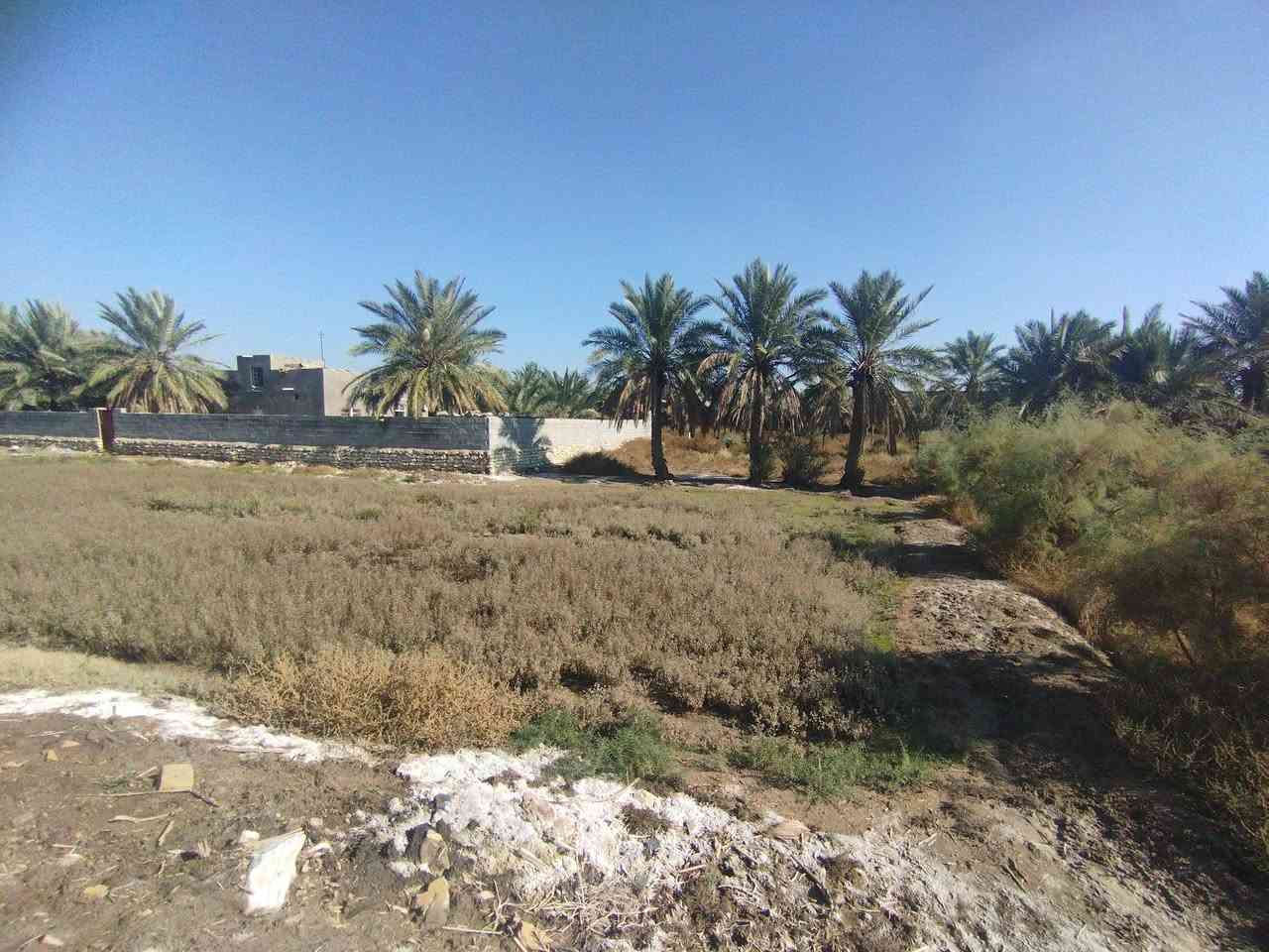 السلام عليكم
قطعتين ارض للبيع متوفر بيها ماء وكهرباء قريبه على الشارع تابعه لحي الزهراء الثاني مساحة كل قطعه 250 . ،***********
