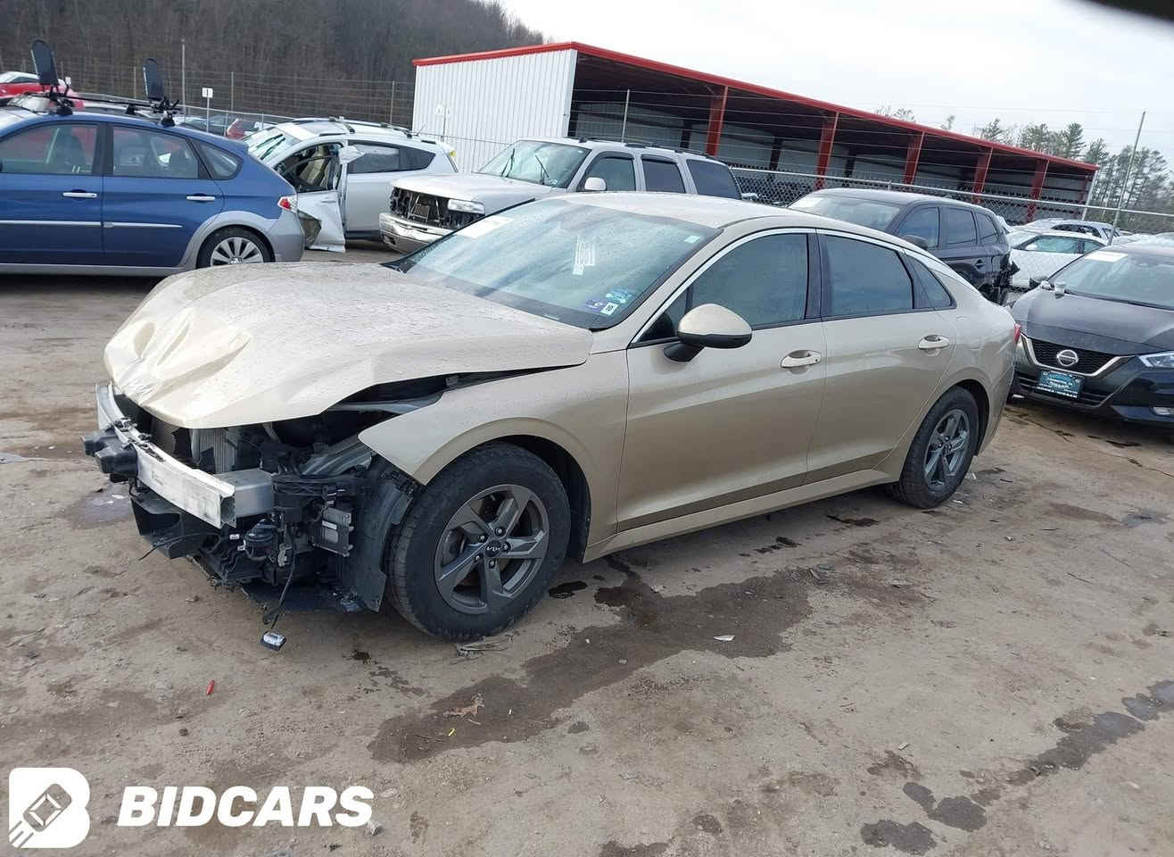 كي فايف 5
السعر 148$وبيه مجال
مواصفات LXS
موديل 2022 
ماشية ١٠٢
السياره وارد امريكي ضررها بنيد مصلح
السياره بدون تبديل كله بلادي على وضع الشركة 
بيه كلير جاملغ امامي
بصمة تشغيل
تشغيل عن بعد
تبريد بيانو منفصل
بصمة ابواب 
اوتو هولد
درايف مود انضمة قيادة 4
رادار امامي جانبي خلفي 
سايد بريك بصمة
تحديد مسار قيادة آليه 
فول تحكم استيرن جهتين 
وباقي المواصفات معروفه للسياره
مكاني بغداد مدينة الصدر
الاستفسار
***********
