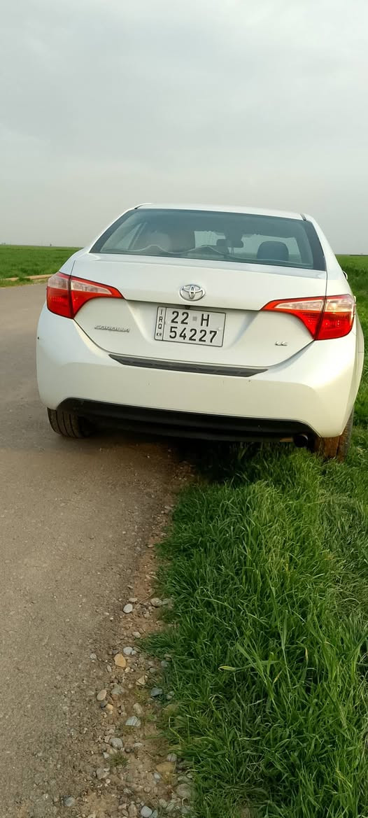 كورلا 17 كندي ابيض صدفي رقم اربيل جديد هزه وسنوية بدون صبغ بدون تبديل فقط بارد  مكانات بسيطة جدا بدون ايرباكات و شواصي كوبون بانزين بي رادار و حجر بيئة شاشة تحكم  تبريد بيانو  مثبت سرعة تحديد مسار  موجود محرك وكير بالشرط مامفتوح بدون  مكان كركوك سعر 145 
***********
