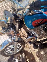 سوته للبيع فحل كفاله عامه اوراق كامله مكاني بغداد الغزاليه ‏‪077832369...