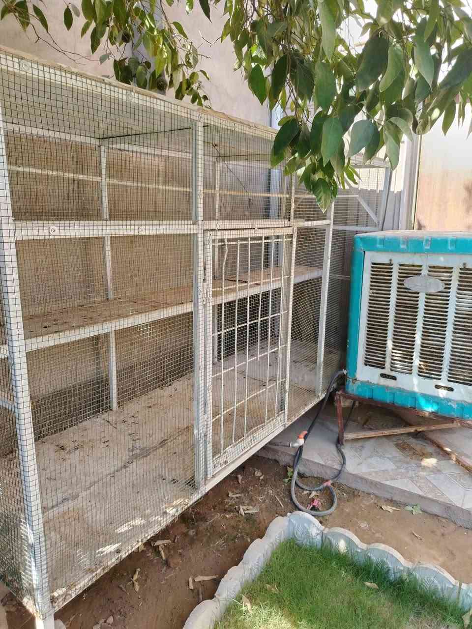 قفص للبيع قوه ومتانه بالشرط ارتفاع 150 وعرضه 223 مكاني حي الزوراء 55
السعر 100
الرقم ***********

