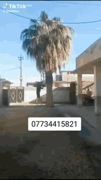 إشارة • خدمات