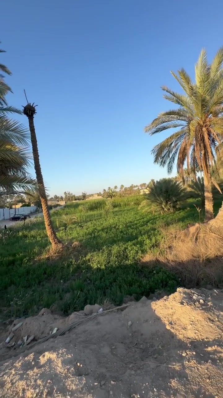 📍 مكتب عقارات الفتلاوي

🔥 فرصة استثمارية مميزة 🔥
🔹 دونم ونص للبيع

📌 الموقع: طويريج – طريق الخيرات
قريب على سيطرة حي الصناعي
مباشر على الجدول وعلى طريق الزوّار

📐 تفاصيل الأرض:

* الواجهة: 30 متر
* النزال: 125 متر
* الأرض ركن على شارعين ✨
* سند: 25
* التحويل باسم المشتري مباشرة

💡 الخدمات متوفرة بالكامل:
✔ ماء
✔ كهرباء
✔ تبليط
✔ مدارس
✔ جميع الخدمات متكاملة

📞 للتواصل:
***********

🏢 عنوان المكتب:
طويريج الحولي – مجاور أسوق  سيد ليث مقابل المجسر الجديد
