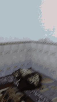 نص قطعة امامية عكادة طابقين قطاع 49 قريبة من خدمي الاورفلي 3 غرف نوم استقبال مطبخ حمام عالية علة الشارع بايتين ارتفاع الغرف كلهن 3م السعر 90 موبايل ***********
