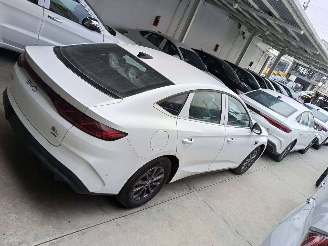 کین L مۆدێل 2025 سفر کیلۆمتر پێشو دوا حاسە ناوڕەش 12کامێرا فولە بەس سڵاید نیە پاتری 80کیلۆمتری کەمترین نرخ شوین سلێمانی تحویلەکان بوزانیاری زیاتر پەیوەندی بکە ***********
