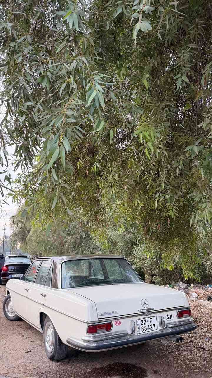 السلام عليكم مرسيدس بنز تو كلر السياره لونين بلاديه كولش حلوه موديل 1967 السياره على حال الوكاله بس صبغ جمالية فقط كير مكينه على حال الوكالة غرفة الداخل مال سياره على حال الوكاله مملعوب بي ابد موصفاتها فتحته جام كهرباء 
175السعر عنوان بغداد حي العامل بيها مجال قليل ***********
