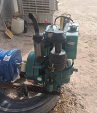 مولد هندي • ١٠ كيفي • النجف