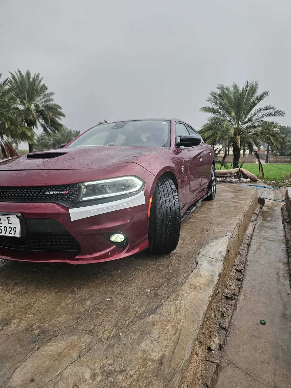 جارجر 2022 جي تي سبورت بلاص فول فول لل أخير عدا الفتحه فور ويل  كشنات كهربائي تدفئه تبريد هيتر مري رادار أمامي جانبي شفتات هواي مواصفات بيه  صدر كير مكينه بالباكيت اسياره ضررها جاملغ خلفي بي طخه بسيطه جداً زائد قطعه كلير بدون فتح بدون دواخل شرط بدون أرباك  تخم تاير صدر جديد اسياره أستخدام شخصي فقط رقم أربيل دولي الجديد با أسمي سنويه لل ٢٩ 

ذاكرلك تفاصيل كلها👆(السعر خاص)


**إذا كنت صاحب هذا الإعلان وتريد حذفه لأي سبب، رجاءا أرسل رسالة إلى الدعم الفني**