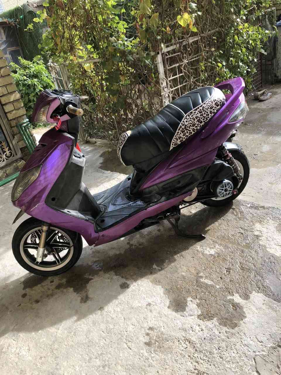 سلام السلام سكنس فحل نوزل تزويده كله اصلي دراجه ضفيرته يرادله ترتيب كاطعه ناريه مكينه مابيه شي بس ابيع كوم حديد لحد يطبلي يكلي شبيه ابيع عله هل وضعيه السعر 550 مكاني بغداد البياع تقاطع درويش *********** وتساب
