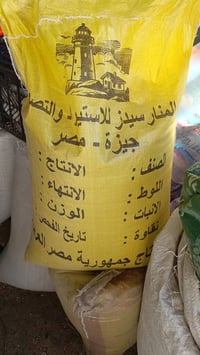 متوفر بذور  (الراي جراس) او ما تسمى عشبة اذرة المكانس الافريقي اشتركو ...