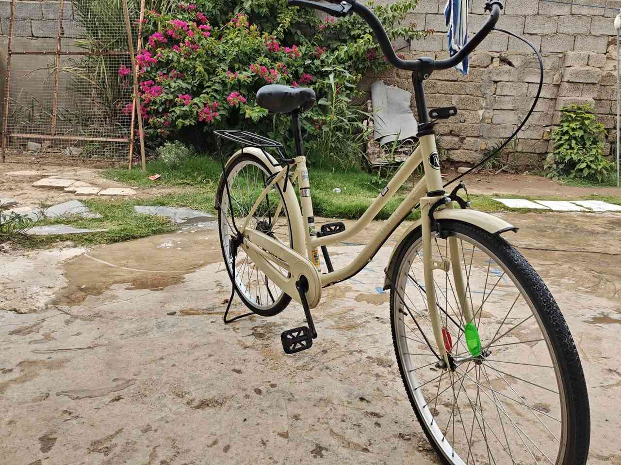 سلام عليكم باسكل 26 البيع  تعال خاص


**إذا كنت صاحب هذا الإعلان وتريد حذفه لأي سبب، رجاءا أرسل رسالة إلى الدعم الفني**