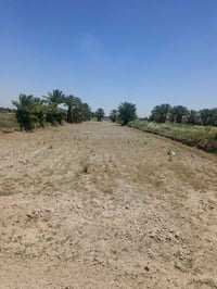 دونم ونص • طابو زراعي • الوجه 23