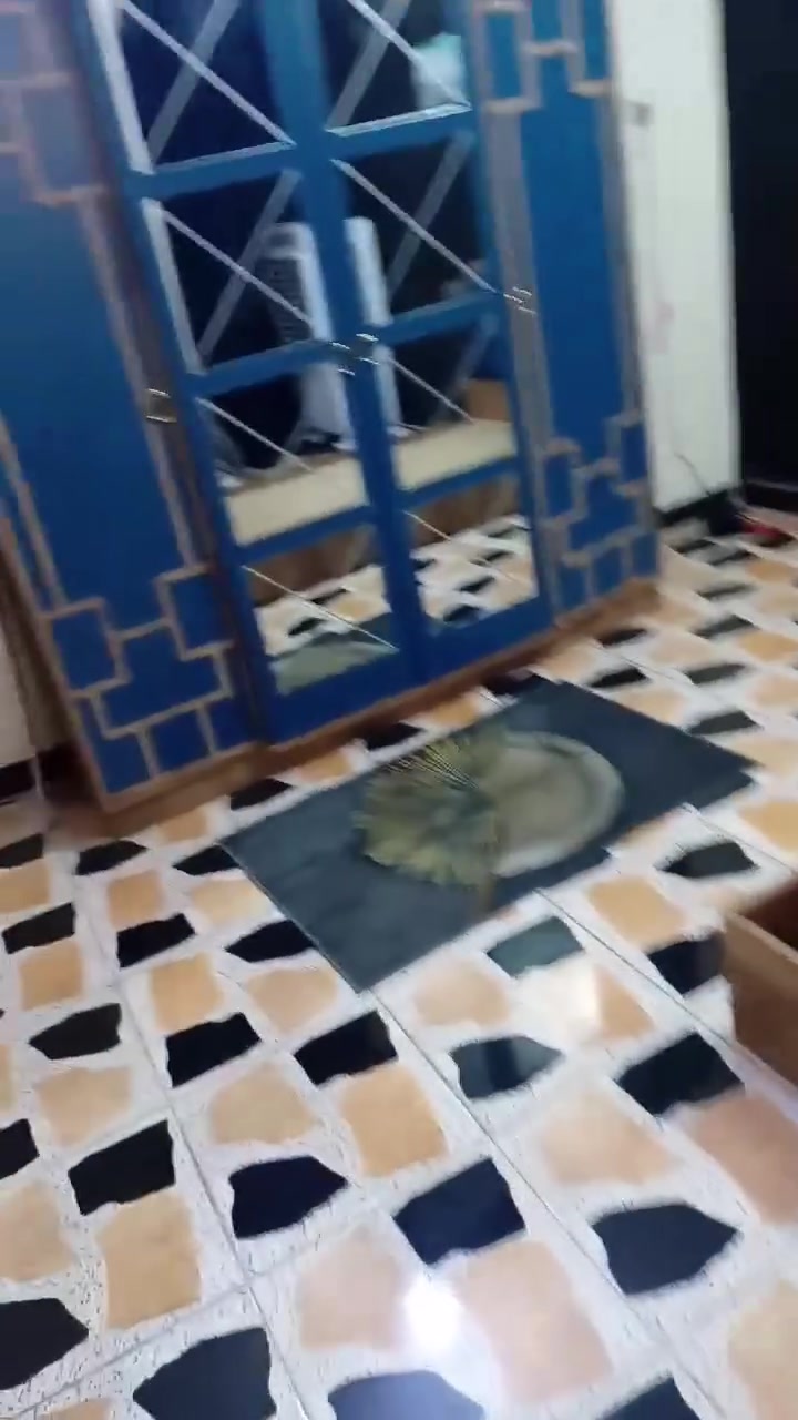سلام عليكم عندي غرفة شبابية نظيفة جدا استعمال قليل اربع قطع نضافه 100٪ ماخذهة ب٨٥٠ اريدهة ب ٤٥٠ وبيهة مجال للشراي ان شاء الله


**إذا كنت صاحب هذا الإعلان وتريد حذفه لأي سبب، رجاءا أرسل رسالة إلى الدعم الفني**