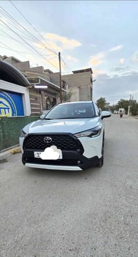 كروز هايبرد • ٢٠٢٥ • الشعب