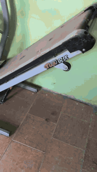 متاح باسكل جري عدد 2 شرط الشغل ينباعن سوه مكاني طويريج جمعيه شارع الملاعب السعر اثنينهن 150 وبيهن مجال قليل ....
البيع لغرض السفر ***********
