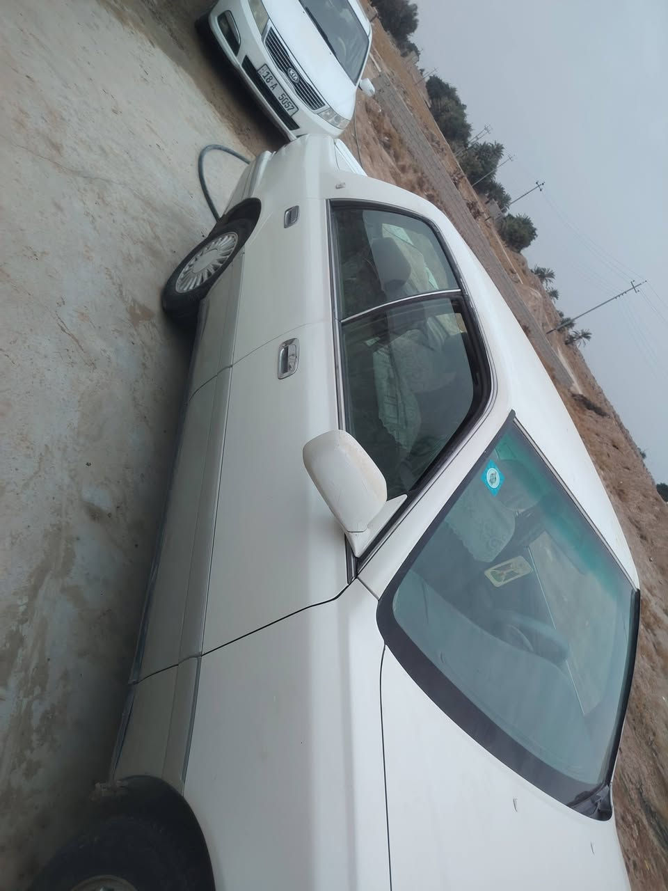 سلام عليكم راس ثور نضيفه كلش مكاني شطره بيع او مراوس مكينه ثنين ونص فيفيتي وهذا رقمي ***********
