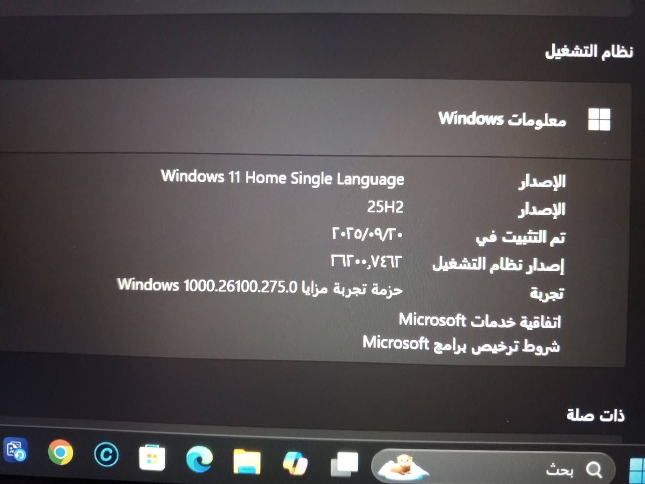 صور المنتج حقيقية السلام عليكم لابتوب خفيف وزن نحيف وحجم مناسب وين ماتروح تاخذه وياك دراسة وورد تصفح غير مناسب للالعاب صور حقيقية وصور مواصفات الجهاز كدامك منصبلك ويندوز 11 مفعل مدى الحياة شغل ايدي ومنصبلك برامج صيانة مفعلة كلشي لوز مشكلة لابتوب بطارية تالفة من الشركة طلبتهه من امزون وطلعت تالفة مو عيب شرعي تبدل بطارية من الصناعه ب35الف تشتغل طبيعي بس كهرباا
خلي بطارية وتونس حبيبي

سعرهه 200 الله شاهد بلاش شاشة 14 انج
مستخدمة في حالة ممتازة
مكاني كربلاء حي اليرموك رقمي
***********

