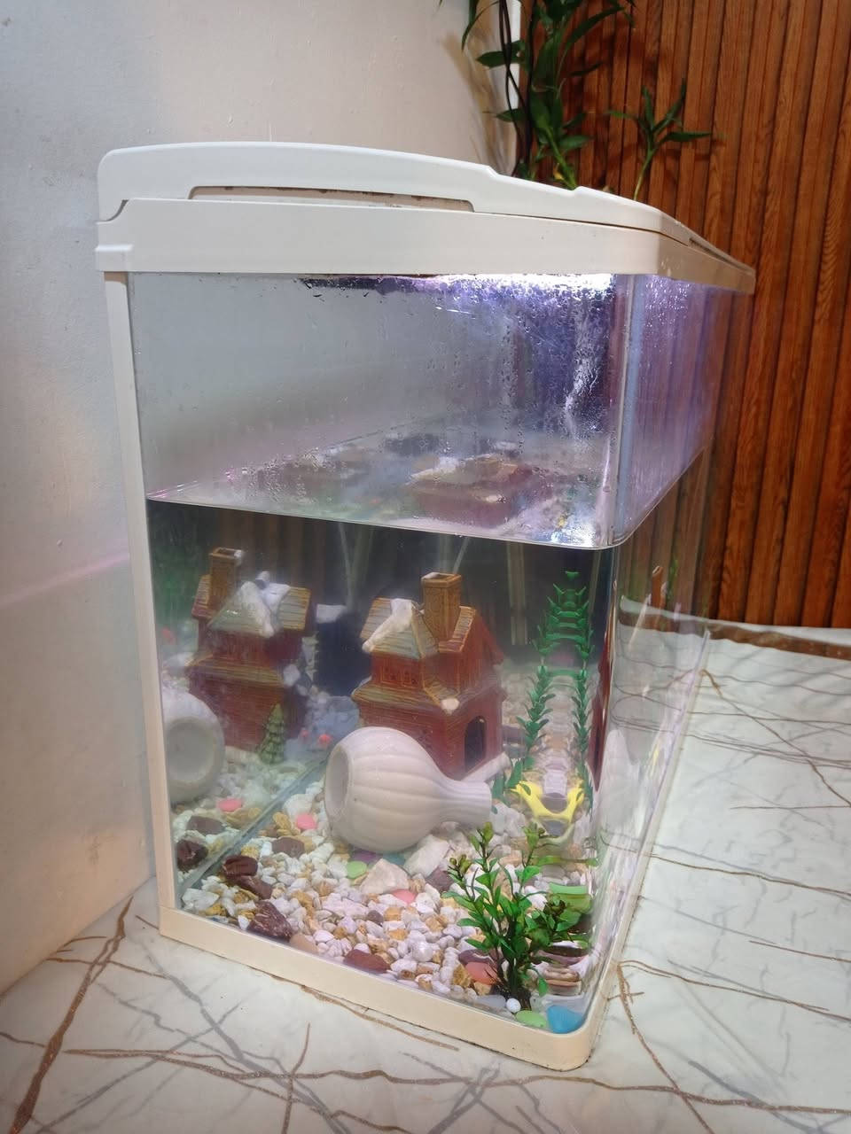 السلام عليكم
حوض سمك للبيع قياسات
الارتفاع 55 والعرض 80 
السعر 150 الف وبي مجال مع الغراض كامل
تواصل خاص أو واتساب

***********
