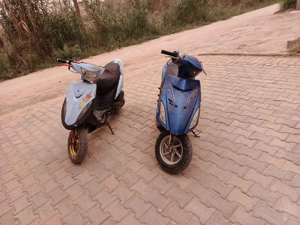 للبيع والمراوس


**إذا كنت صاحب هذا الإعلان وتريد حذفه لأي سبب، رجاءا أرسل رسالة إلى الدعم الفني**