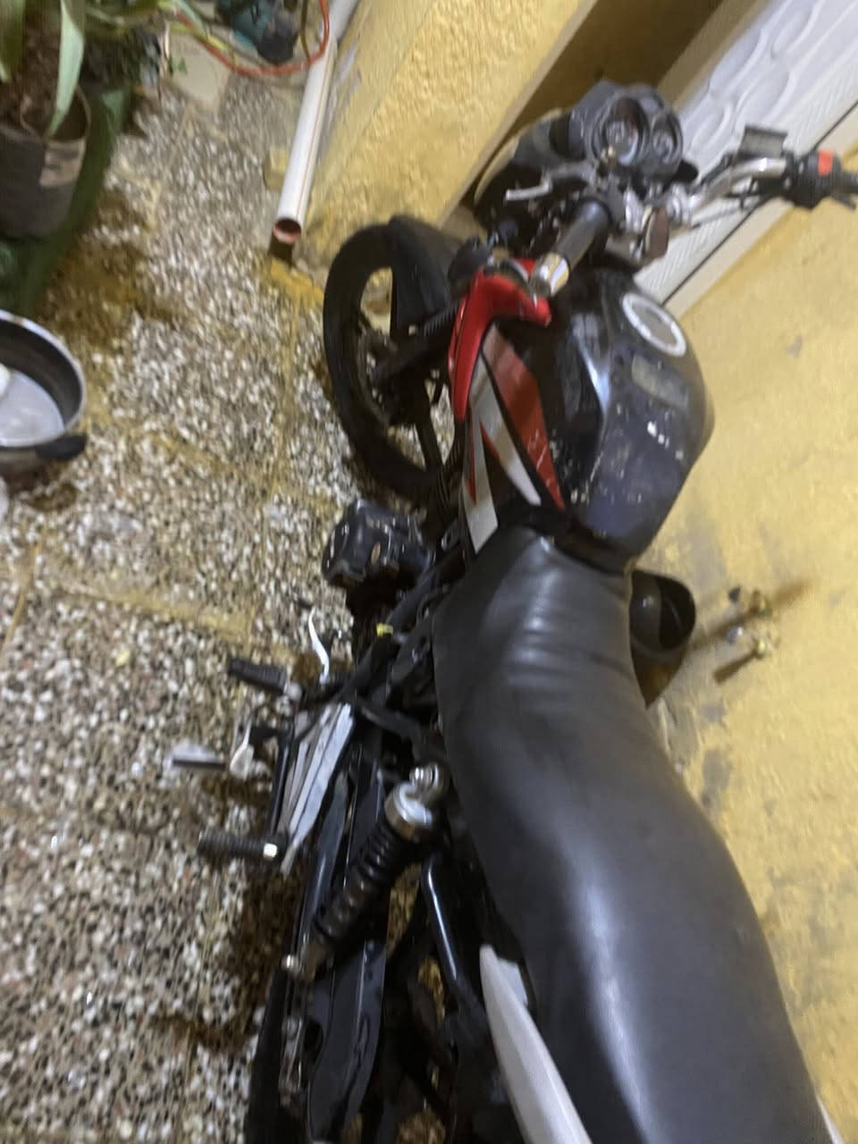 سلام عليكم سيام خمسه كير  بدون اوراق اكفلها دوله وعشائر سلف هندر شلعه معدل تخبل كهربائيات شغاله يرادلها كلوبات اشاير ثنين ونقصه صفاحيه جهت اليسره الصفحه اليمنه موجوده هيه والكفر مال تانكي وياها قمجي سكليتر جديد وبك لايت جديد بيع او مراوس سعر300 بيها مجال رقم واتساب*********** مكاني حسينيه الراشديه
