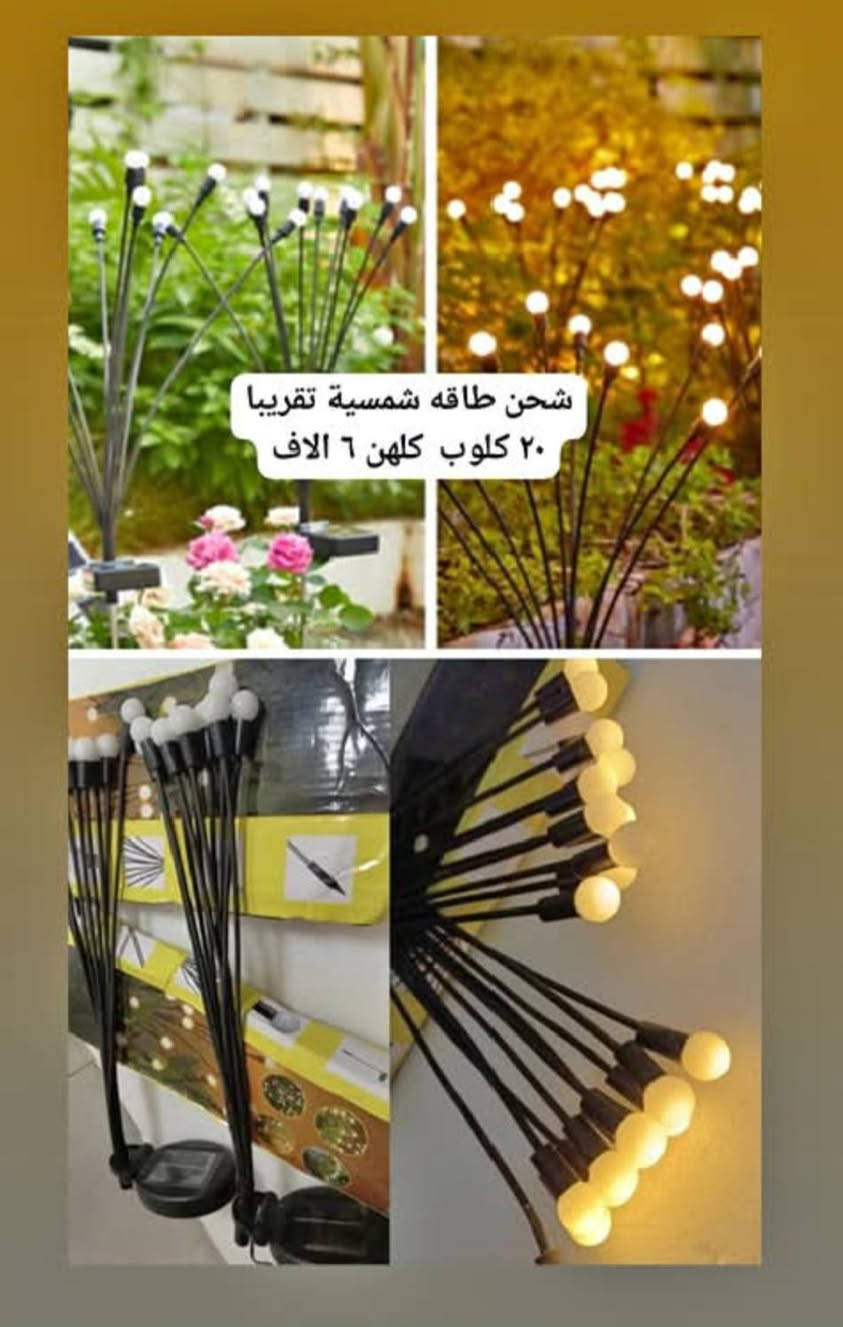 الاسعار من ١٠ الاف وجوه  يوجد توصيل جميع المحافظات ٥ الاف


**إذا كنت صاحب هذا الإعلان وتريد حذفه لأي سبب، رجاءا أرسل رسالة إلى الدعم الفني**