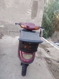 منغولي • معدل فول • محرك ناعم