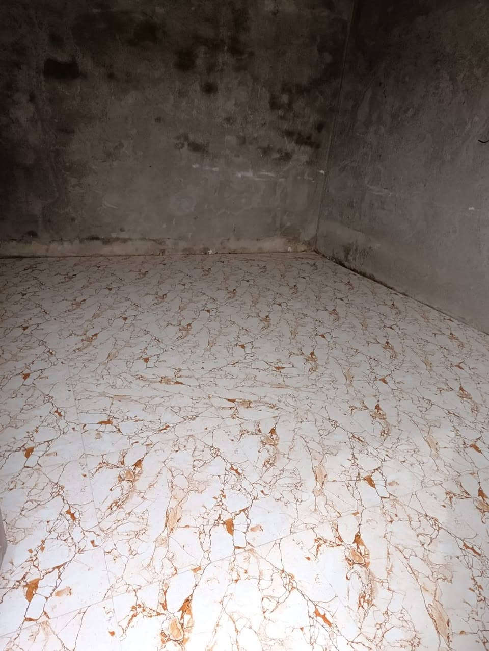 البيت للبيع طابو زراعي 120سند 25 الديوانية طريق السنية حي الامين الثاني شارع حلاقة رسول داخل فرع بناء طابوق عكاده سعر على الاتصال ***********
