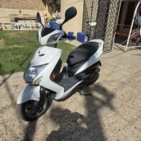 سكنس فحل • ٢٠١٨ • فول