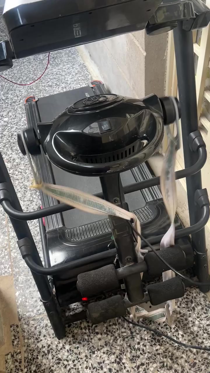 السلام عليكم
جهاز جري للبيع وكف عندي بدلتله فيوز كام يطلعلي  E2  ما اعرف شنو مشكلته
***********
