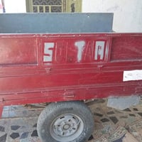 ستوته • نضيفه • بدون أوراق
