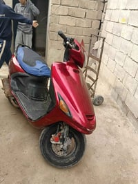 دراجة فراشة • البصرة المعقل