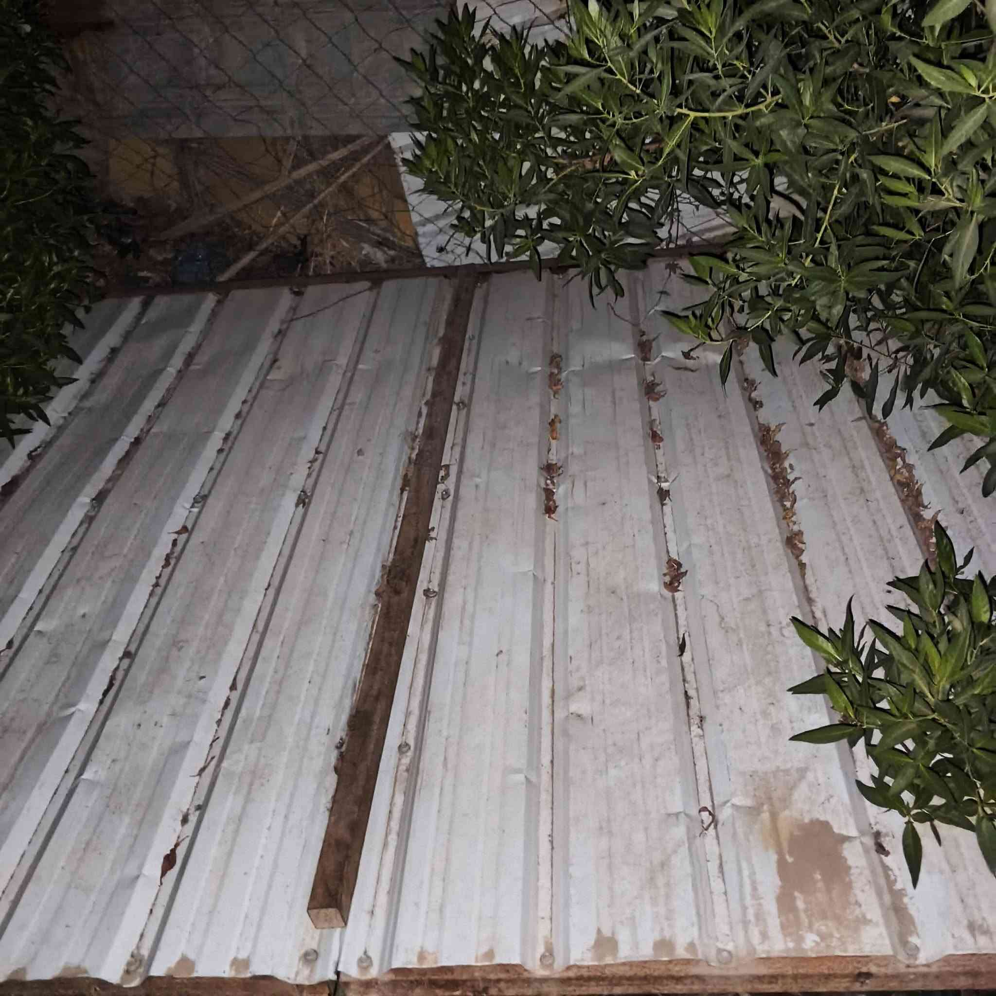 باب بيت مستعمل
230×210

نجف حي الشهداء

سعر 85 او بيه مجال


**إذا كنت صاحب هذا الإعلان وتريد حذفه لأي سبب، رجاءا أرسل رسالة إلى الدعم الفني**