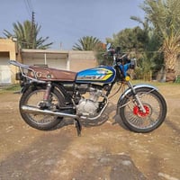 تايگر ٢٤ • مكفولة • بيها مجال