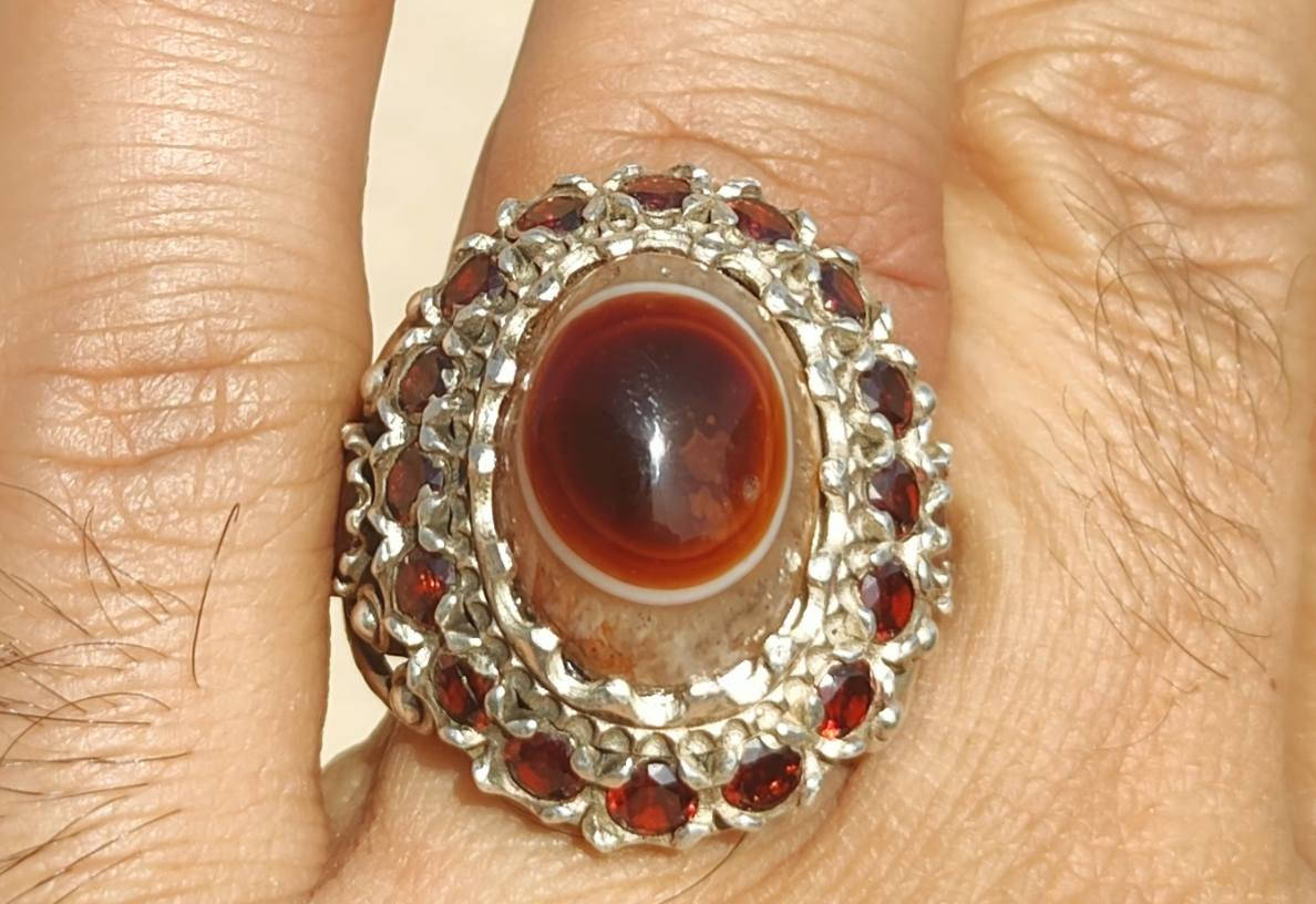 السليماني الاحمر الهندي العين الصريحة صياغة تطعيم للبيع ***********
