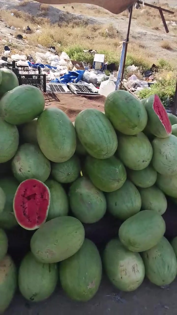 اسعار المخضر اليوم بلاش علوت عمر العوسج تقاطع شكرا خلي الفقير ياكل. كلشي ب خمسميه بس الباميه الف وآل عنب الف ونص


**إذا كنت صاحب هذا الإعلان وتريد حذفه لأي سبب، رجاءا أرسل رسالة إلى الدعم الفني**
