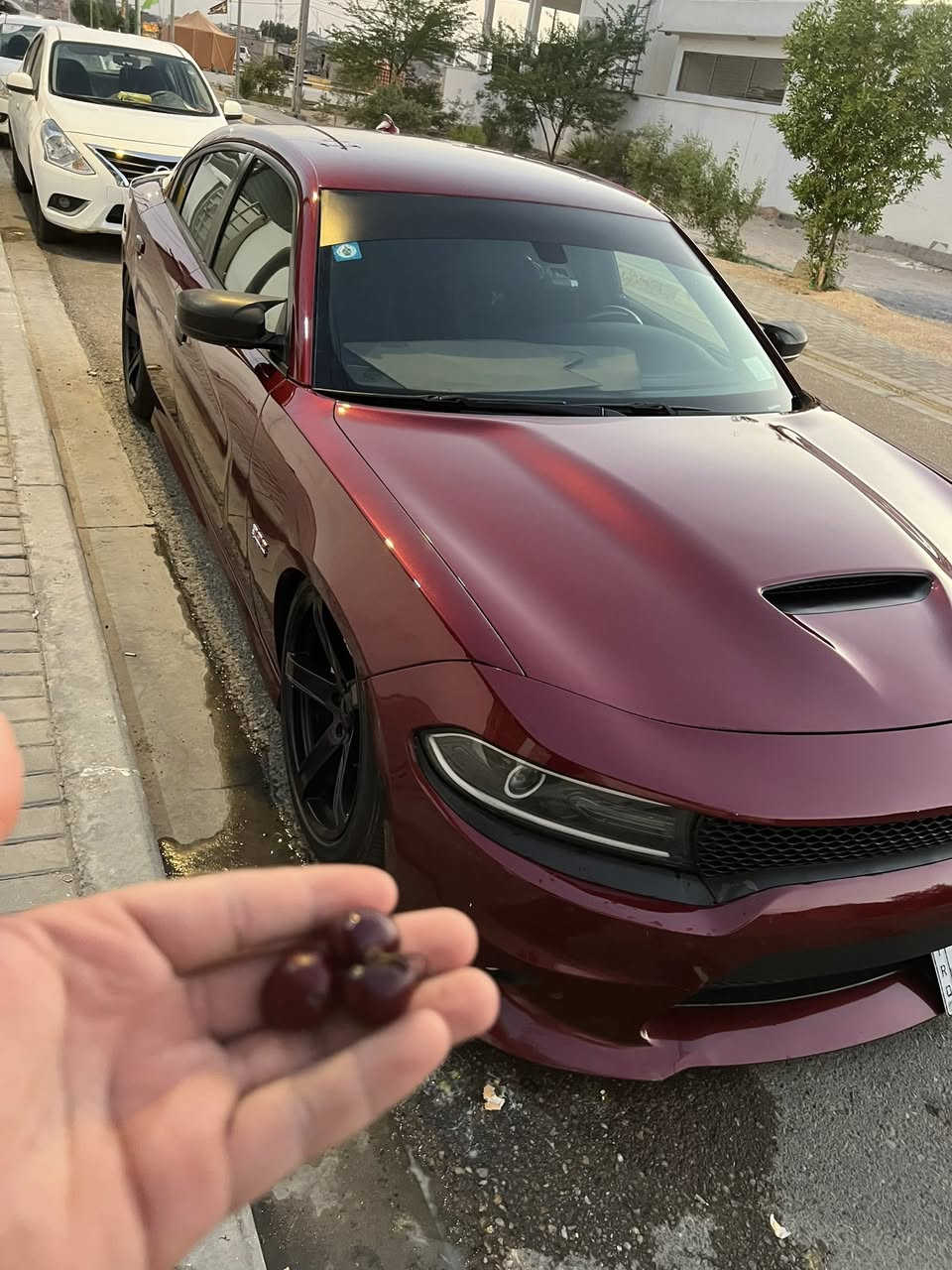 سلام عليكم
لبيع او مراوس 

جارجر سكات باك 2019

رقم بصره وارد امريكي حادث السياره بنيد وخشم المداكر فقط وباقي السياره كفاله عامه

الاضافات على السياره 

جكات اخر اصدار Airbft 
لدات متغير امامي خلفي 
دركه ار بي ام كاربون فايبر
شوته afe
اويل كاتش كان
بلكات ريسنك 
ولف حماوه ريسنك 
الفانات العاصفه معروفات 
وتحكم بالكزوز بوابات 

مكاني بصره وباقي التفاصيل خاص 

رقم التواصل ***********
