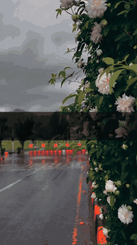 شركة الشلاهي • أثاث عراقي • توصيل مجاني