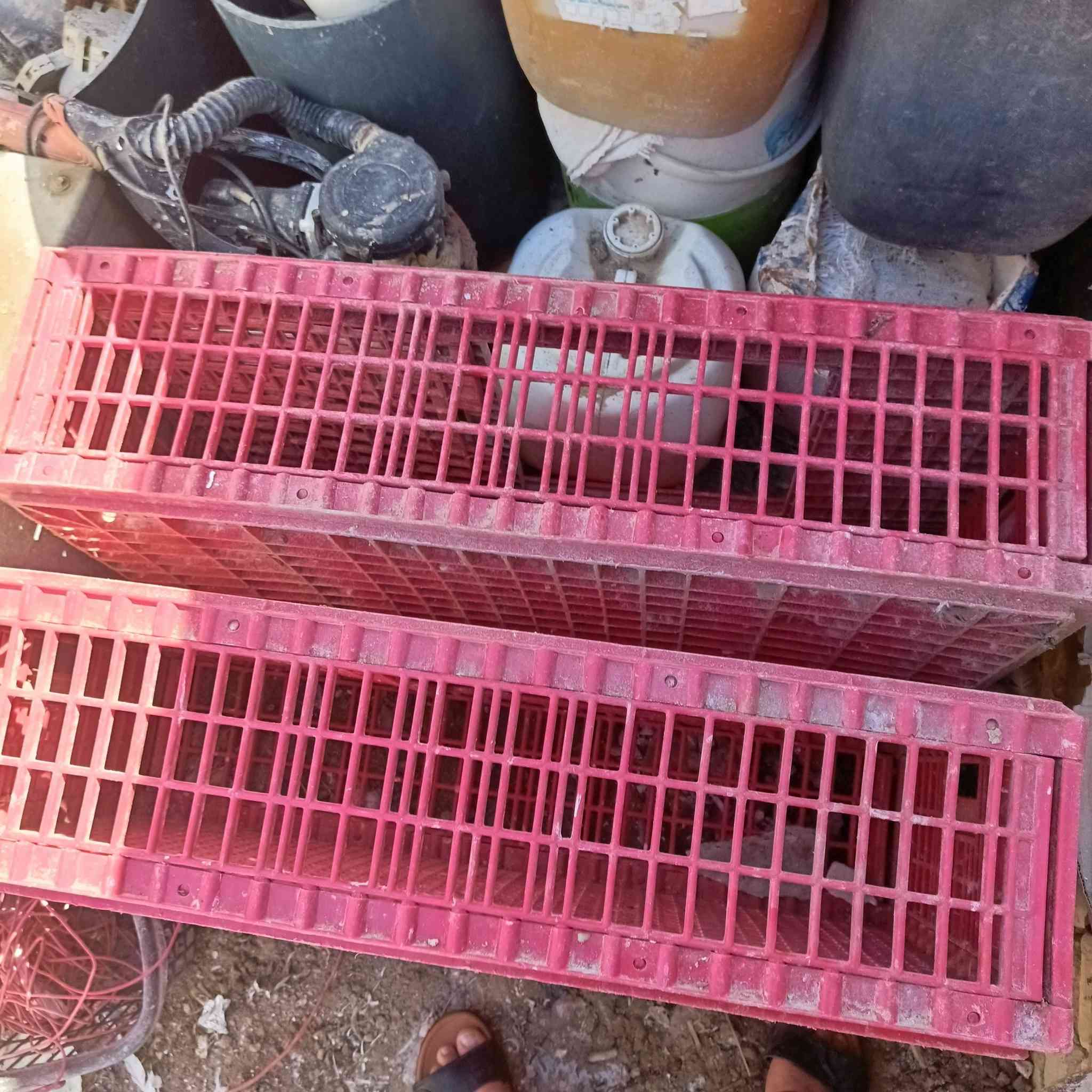 هالوسسه دجاج للبيع+قفصين بلاستك +مذبحة
***********
