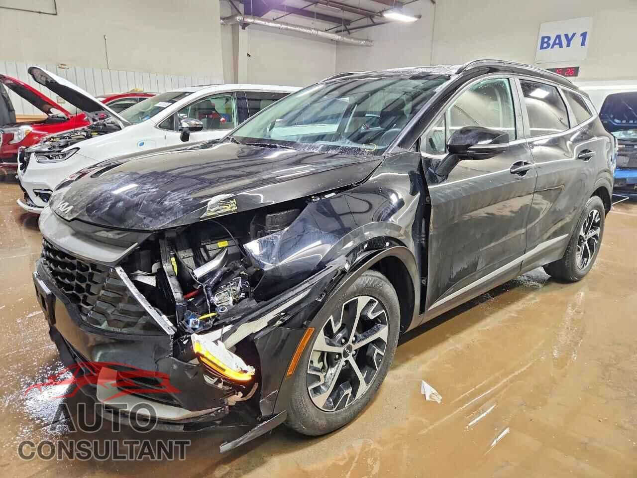 السلام عليكم
مجموعه سيارات وراد أمريكي دخول جديد قسم واصلات وقسم بالطريق بيع او مراوس بدون ارقام بسمي

1سلتوز ٢٤ مكفوله لون جويتي حاليا بعمان سبوع وتوصل الحله 

2توسان ٢٥ ابيض مكفوله بدون ايرباك ماشيه ٧٠٠٠ بصمه موجوده حاليا بالحله

3سلتوز ٢٤ فول موصفات بدون صبغ بدون تبديل دخول جديد موجوده بالحله تترقم جميع المحافظات 

4توسان ٢٤ لون احمر فول موصفات بدون ايرباك ماشيه ٨٠٠٠ موجوده بالحله تترقم جميع المحافظات 

5 فورتي ٢٤ جيتي فول موصفات كير عادي صبغ فقد داير الجاملغ الخلفي بدون ايرباك

6توسان ٢٤ لمتدد فول لون رصاصي فقط بارد بقبق الجنطه ١٥ يوم وتوصل

7 النترا ٢٣ مرقم بابل بدون صبغ بدون ايرباك فقط بارد  فول عدا الفتحه

8 فورتي ٢٤ لون بحري كفاله من صبغ وتبديل وبارد يوم ١٠ توصل الحره

9كونا ٢٤ فقط بنيد مبدل لون ابيض ماشيه ١٩ 
 
10سبًورتج ٢٥ فقط بارد بدون ايرباك لون اسود فول موصفات  شهر وتوصل للجره

مكان السيارات بابل يترقمن جميع المحافظات  ممكن دخول السيارات ع كتاب الشهداء  بيع او مراوس حسب القناعه السيارت بسمي 

***********
